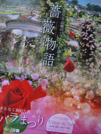 薔薇まつり.JPG
